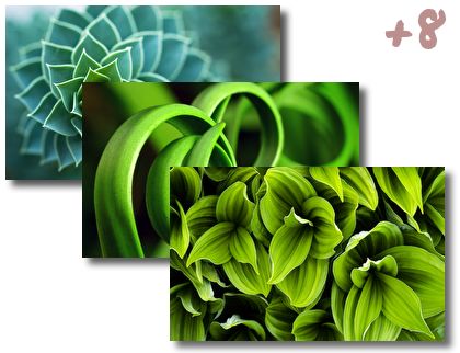 Green Plant Leaf theme pack