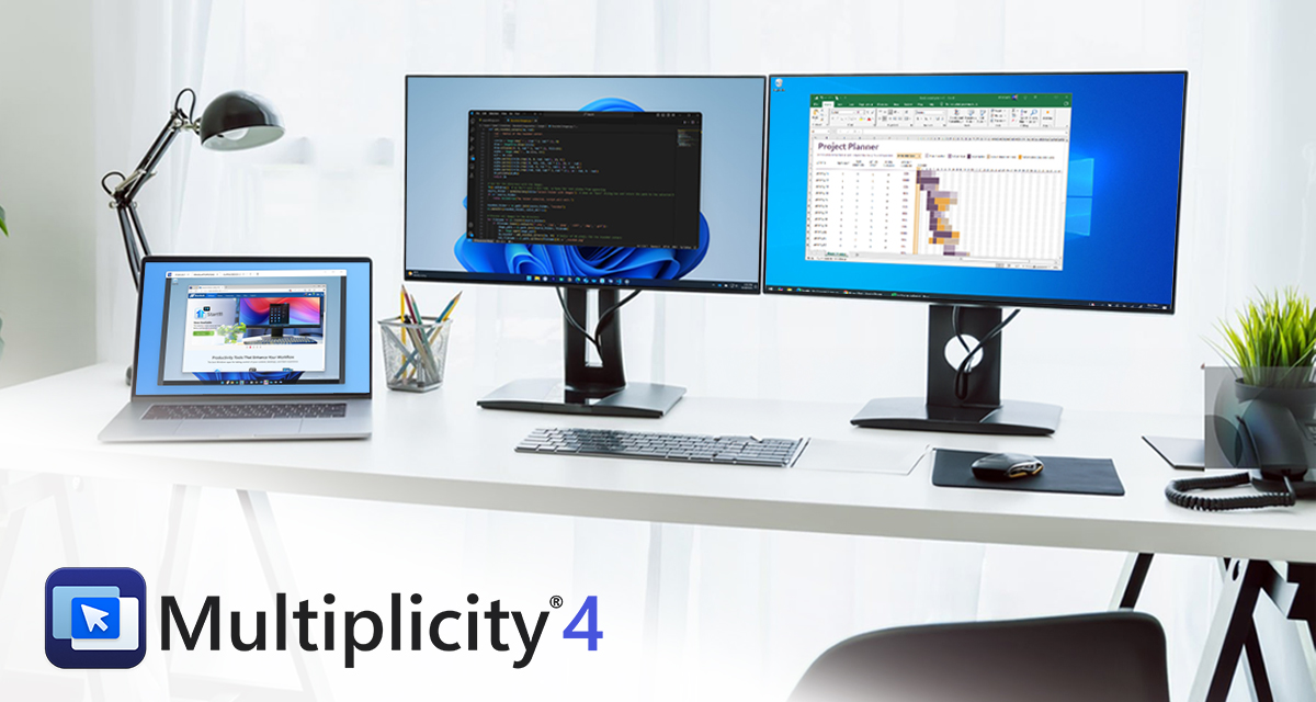 Multiplicity
