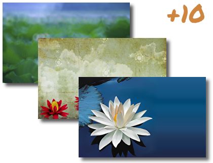 Lotus Flower theme pack