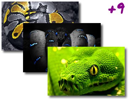 Snakes theme pack