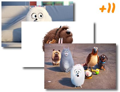 The Secret Life of Pets theme pack
